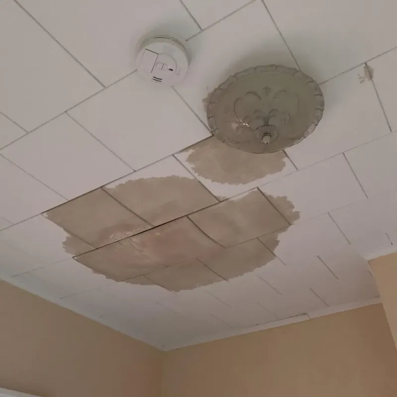 Ceiling Water Damage Repair in Byram, CT
