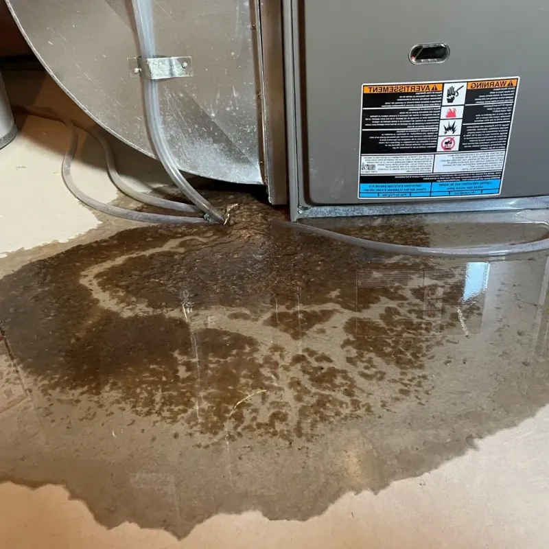 Pipe Burst and Leak Restoration in Byram, CT