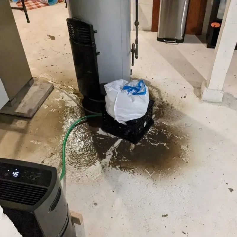 Sewage Backup Cleanup Service in Byram, CT
